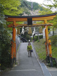 ご