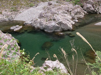 十津川の水辺