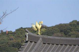 鳳凰