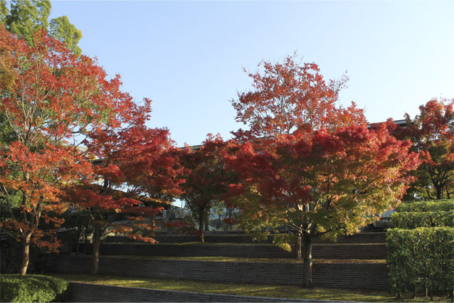 紅葉の庭