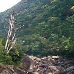 大きな岩の河原