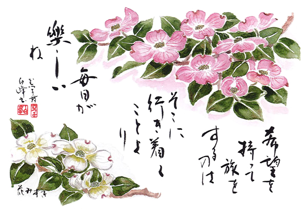 2019.05花みずき