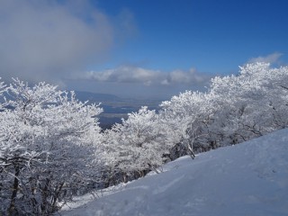 村治画像