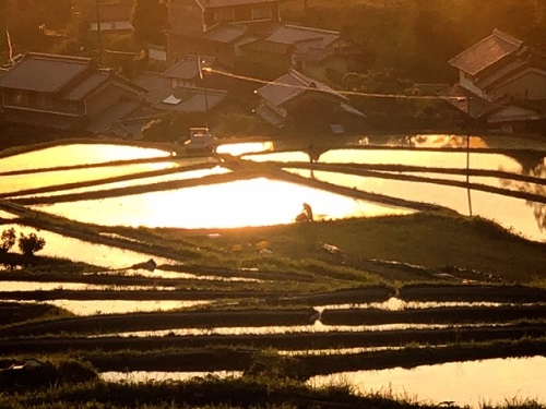 夕陽働く人