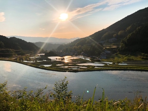 夕暮れ前　5時頃