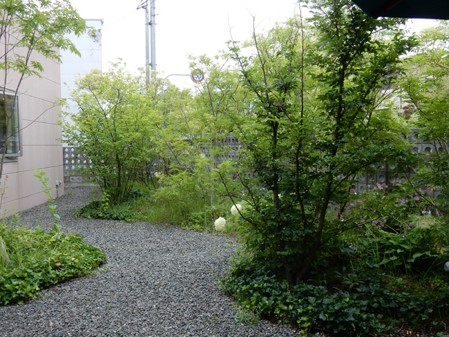 DSCN2584[1]