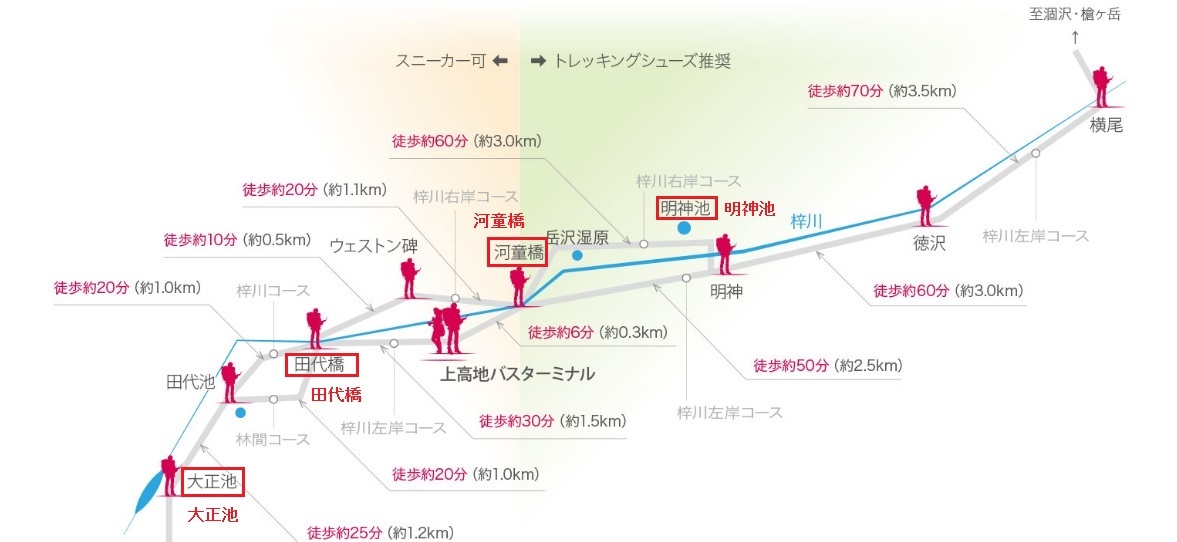 Tizu2 中野司朗レディースクリニック 奈良市 産婦人科 婦人科 女性内科 脂質代謝 Tizu2 中野司朗レディースクリニック 奈良市 産婦人科 婦人科 女性内科 脂質代謝