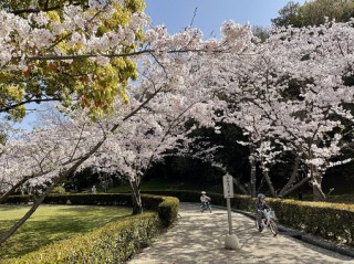 亀山公園