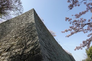 城壁と桜５7