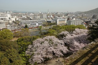 丸亀市内